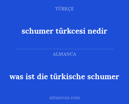 schumer türkcesi nedir - was ist die türkische schumer