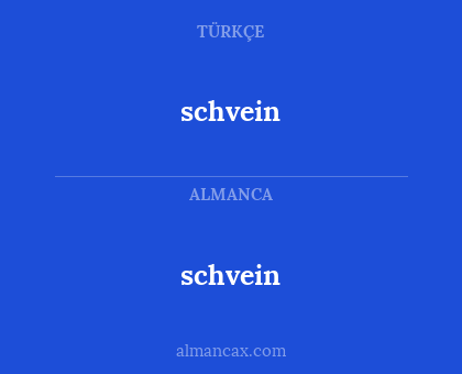 schvein - schvein