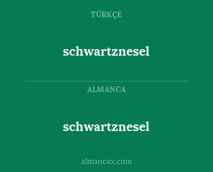 schwartznesel - schwartznesel