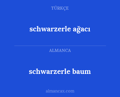 schwarzerle ağacı - schwarzerle baum