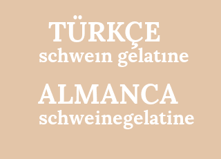 schwe%C4%B1n+gelat%C4%B1ne-schweinegelatine.png
