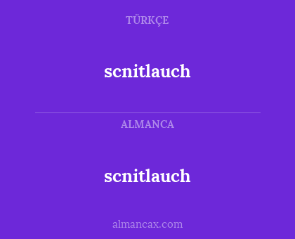 scnitlauch - scnitlauch