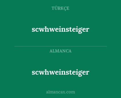 scwhweinsteiger - scwhweinsteiger