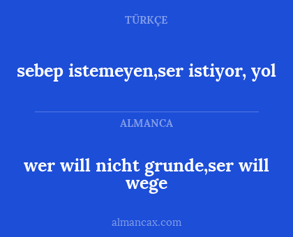 wer will nicht grunde,ser will wege - sebep istemeyen,ser istiyor, yol