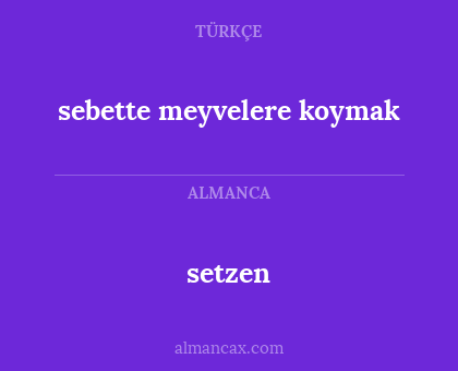 setzen - sebette meyvelere koymak