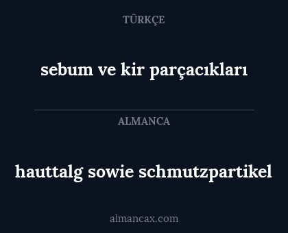 hauttalg sowie schmutzpartikel - sebum ve kir parçacıkları