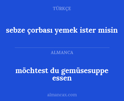 möchtest du gemüsesuppe essen - sebze çorbası yemek ister misin