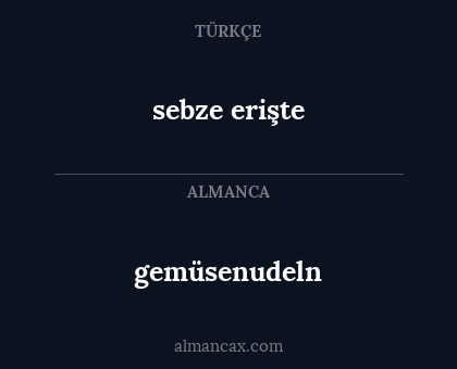 gemüsenudeln - sebze erişte