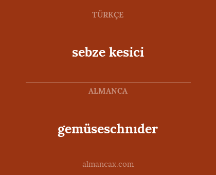 gemüseschnıder - sebze kesici