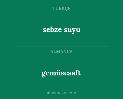 gemüsesaft - sebze suyu