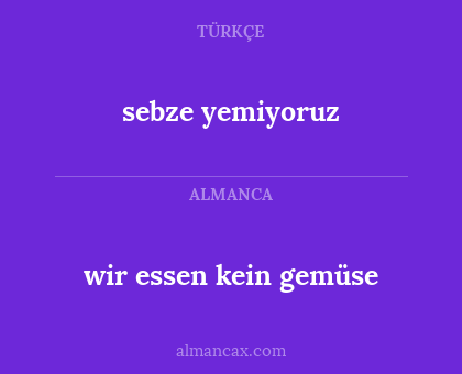 wir essen kein gemüse - sebze yemiyoruz