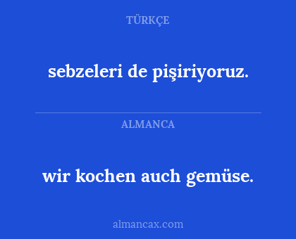 wir kochen auch gemüse. - sebzeleri de pişiriyoruz.