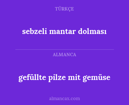 gefüllte pilze mit gemüse - sebzeli mantar dolması