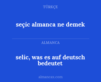 seçic almanca ne demek - selic, was es auf deutsch bedeutet