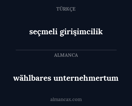 wählbares unternehmertum - seçmeli girişimcilik