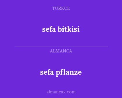 sefa bitkisi - sefa pflanze
