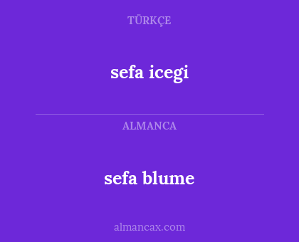 sefa blume - sefa icegi