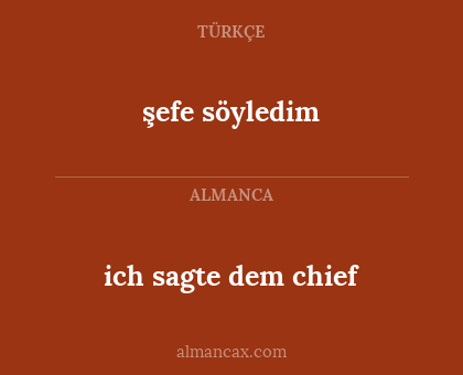 ich sagte dem chief - şefe söyledim