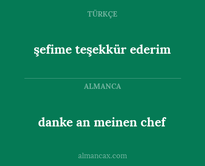 danke an meinen chef - şefime teşekkür ederim