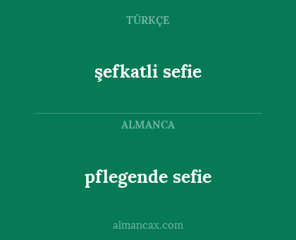 pflegende sefie - şefkatli sefie