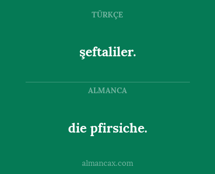 şeftaliler. - die pfirsiche.