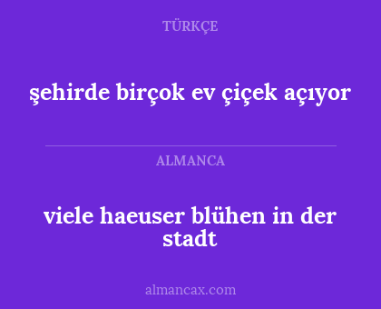 şehirde birçok ev çiçek açıyor - viele haeuser blühen in der stadt