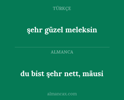 du bist şehr nett, mäusi - şehr güzel meleksin