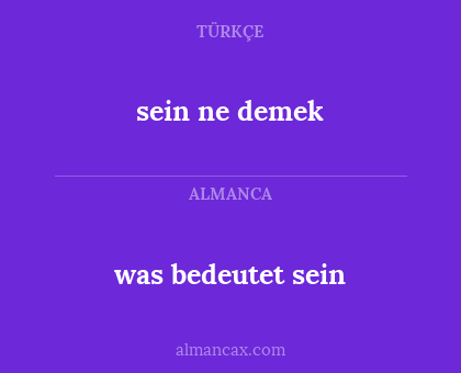 sein ne demek - was bedeutet sein