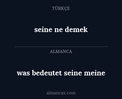 seine ne demek - was bedeutet seine meine
