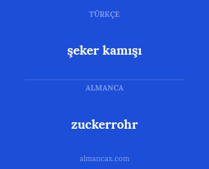 zuckerrohr - şeker kamışı