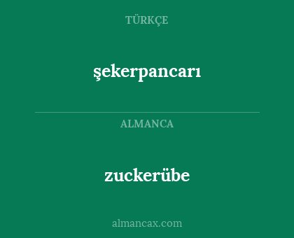 şekerpancarı - zuckerübe