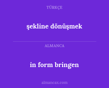 in form bringen - şekline dönüşmek