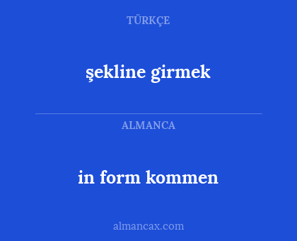 in form kommen - şekline girmek