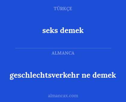 seks demek - geschlechtsverkehr ne demek