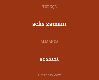 sexzeit - seks zamanı