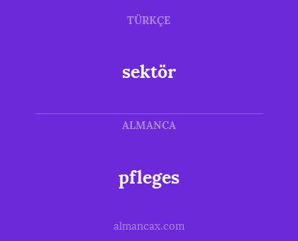 pfleges - sektör
