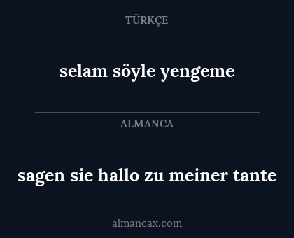 sagen sie hallo zu meiner tante - selam söyle yengeme