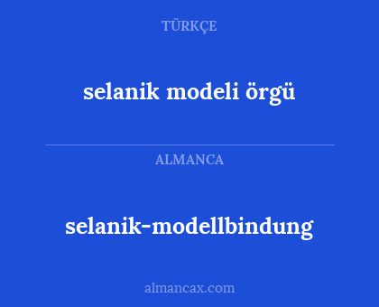 selanik modeli örgü - selanik-modellbindung