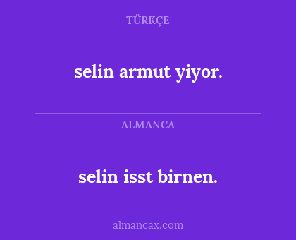 selin isst birnen. - selin armut yiyor.