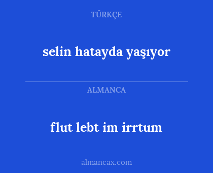 flut lebt im irrtum - selin hatayda yaşıyor