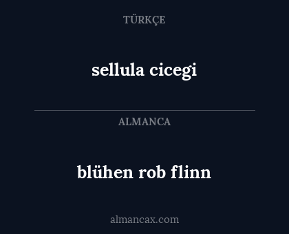 sellula cicegi - blühen rob flinn