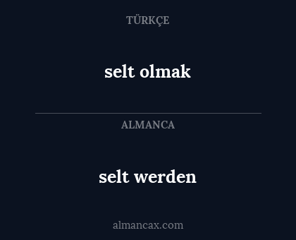 selt werden - selt olmak