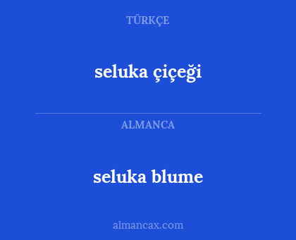 seluka çiçeği - seluka blume