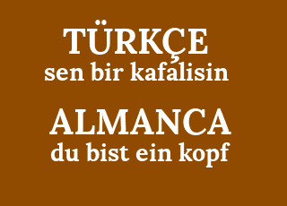 sen+bir+kafalisin-du+bist+ein+kopf.png