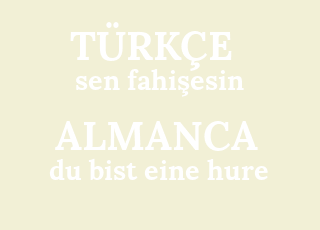 sen+fahi%C5%9Fesin-du+bist+eine+hure.png
