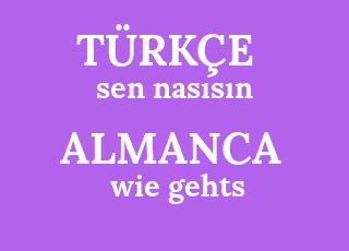 sen+nas%C4%B1s%C4%B1n-wie+gehts.png