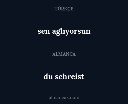 du schreist - sen aglıyorsun
