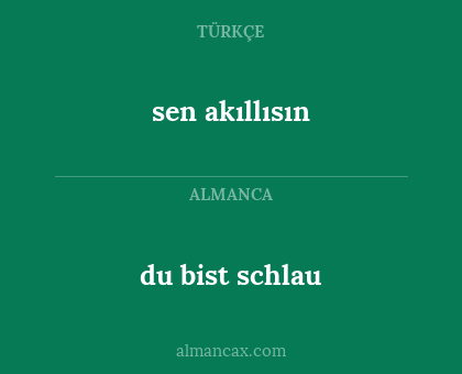 sen akıllısın - du bist schlau