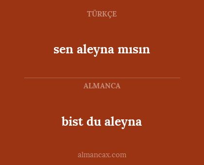 sen aleyna mısın - bist du aleyna