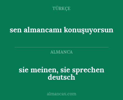 sen almancamı konuşuyorsun - sie meinen, sie sprechen deutsch